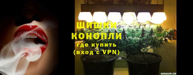 Конопля OG Kush  продажа наркотиков  Западная Двина 